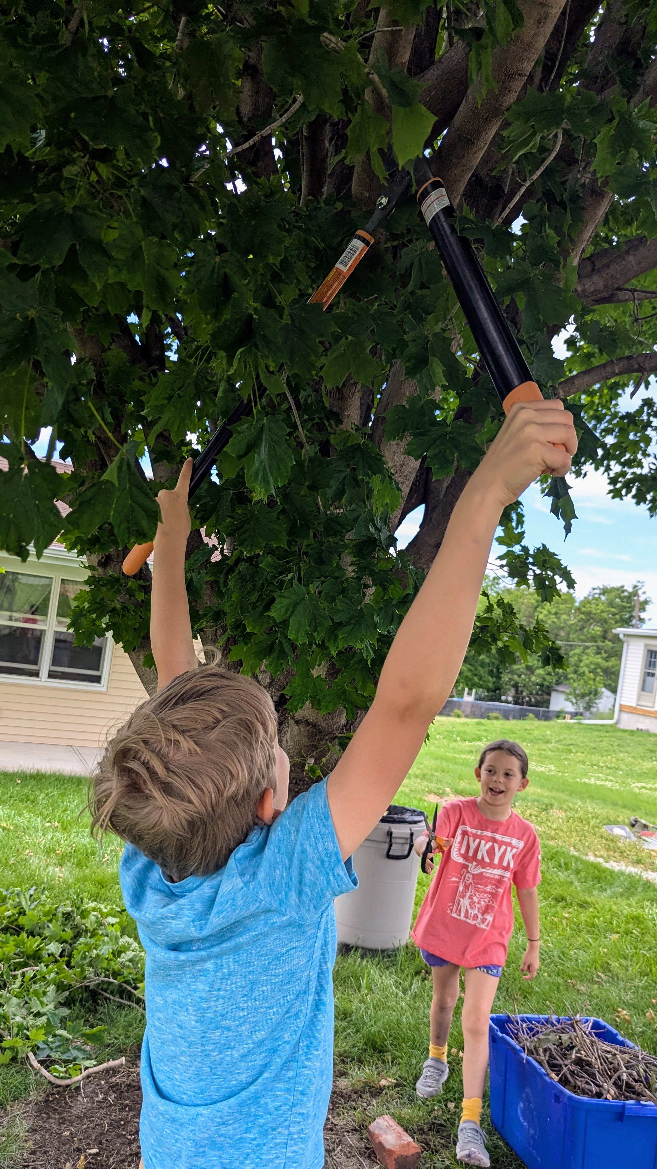 Malachi trimming tree branch